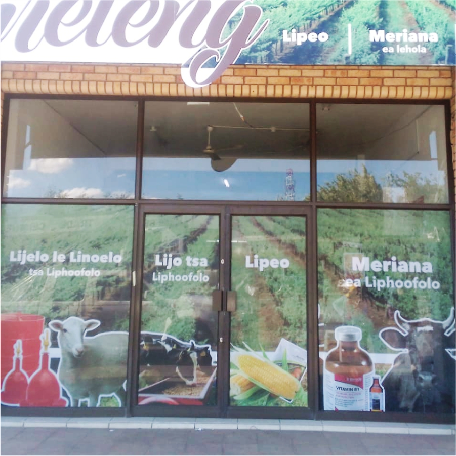Window Decals
